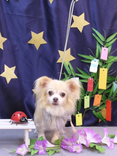 20230702チャッピーちゃん